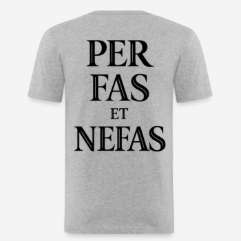 Preview: PER FAS ET NEFAS Slim Fit T-Shirt in grau mit Rückendruck